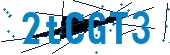recaptcha