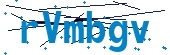 recaptcha
