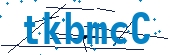 recaptcha