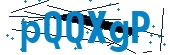 recaptcha