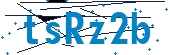 recaptcha